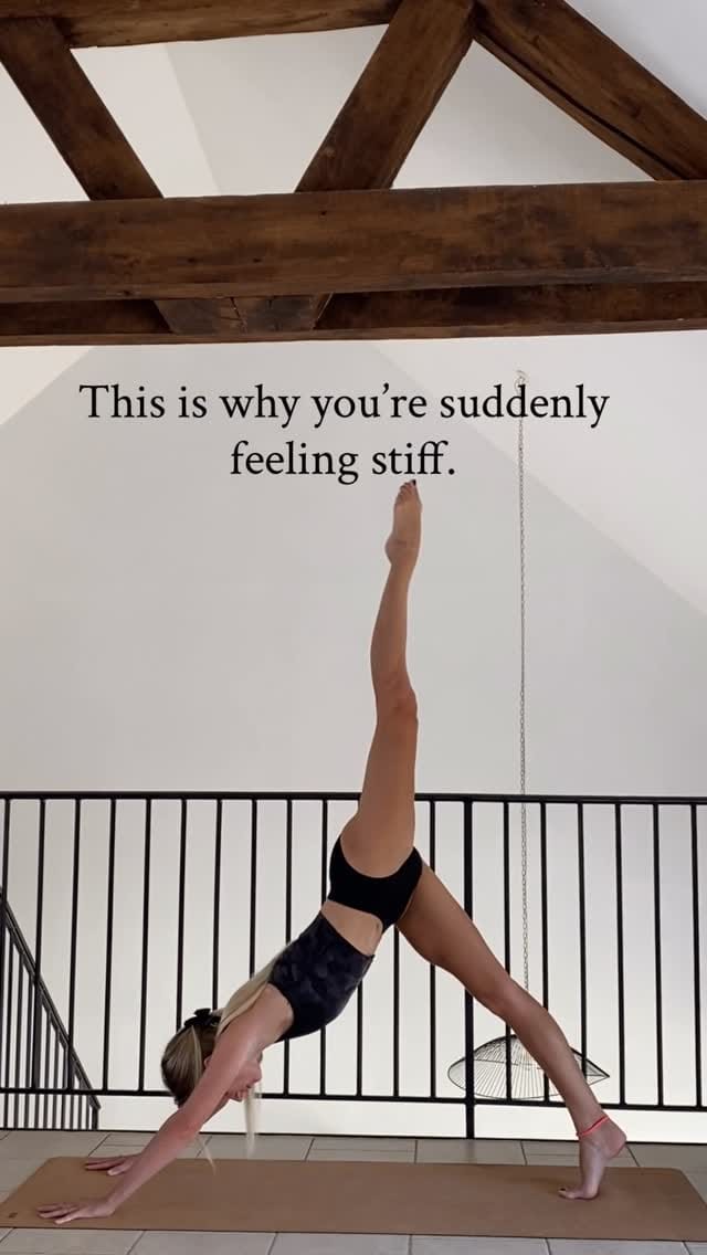 Post 1 by Sleek Ballet Fitness on Instagram (video)