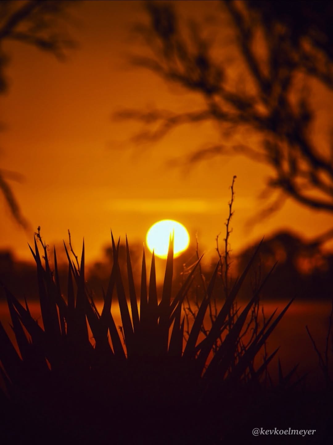 Post 2 by Kev Koelmeyer Photography on Instagram (image)