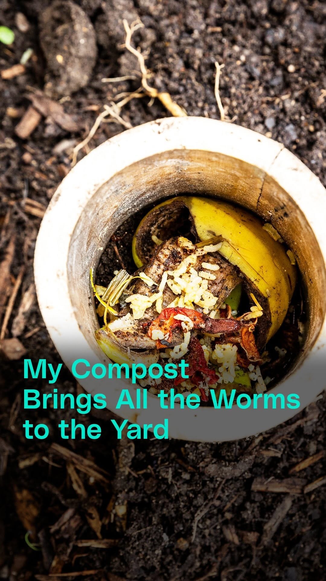 Post 4 by @zerowastecookingschool on Instagram (video)