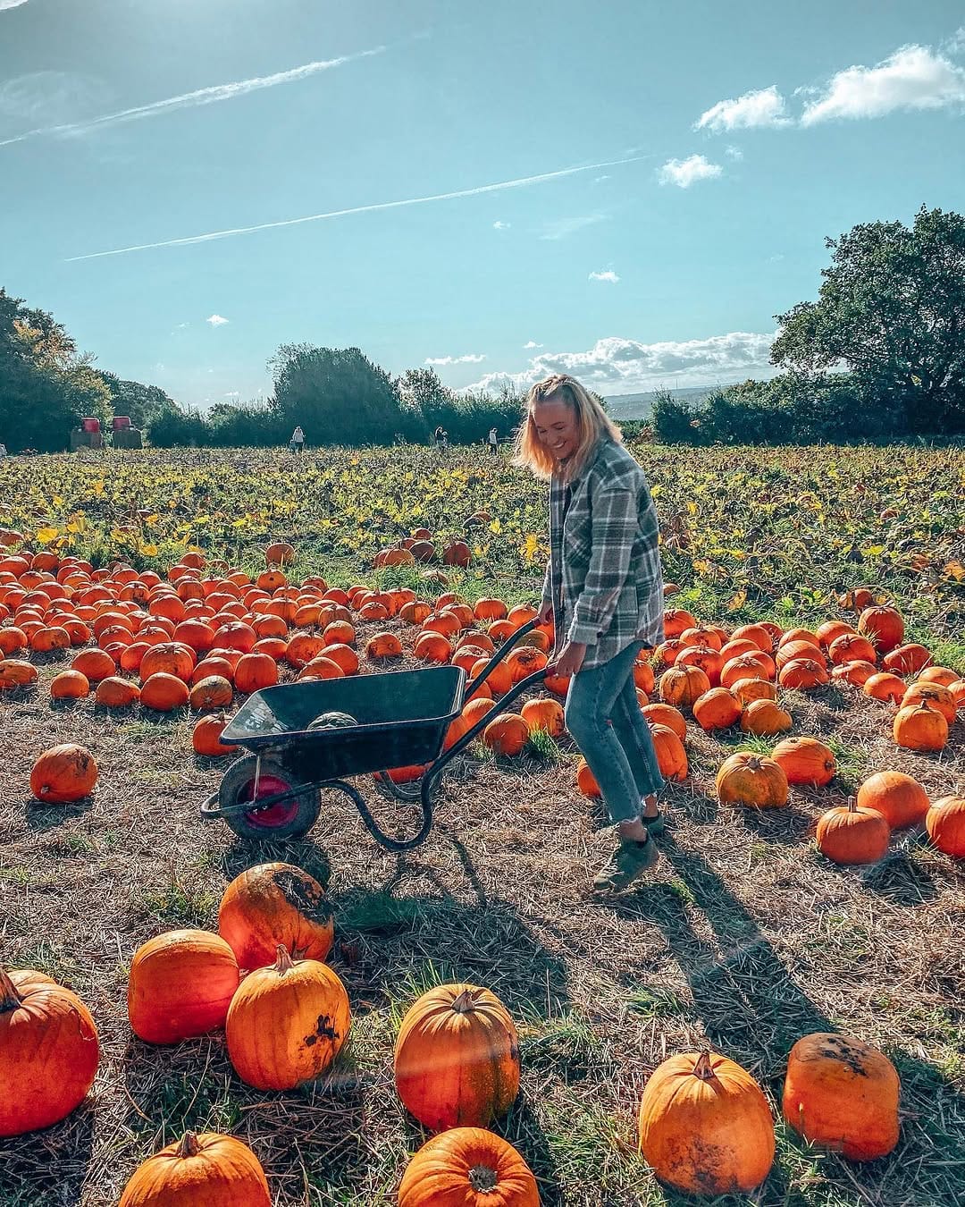 Post 7 by emiley on Instagram (carousel)