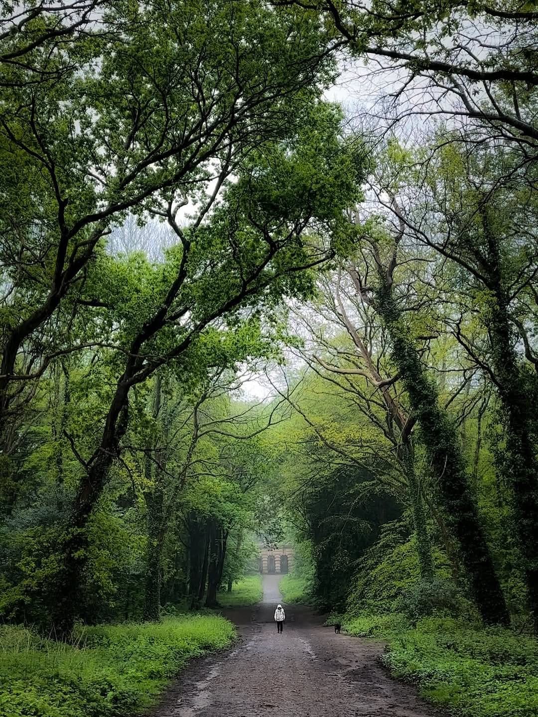 Post 3 by Igers Bristol on Instagram (image)