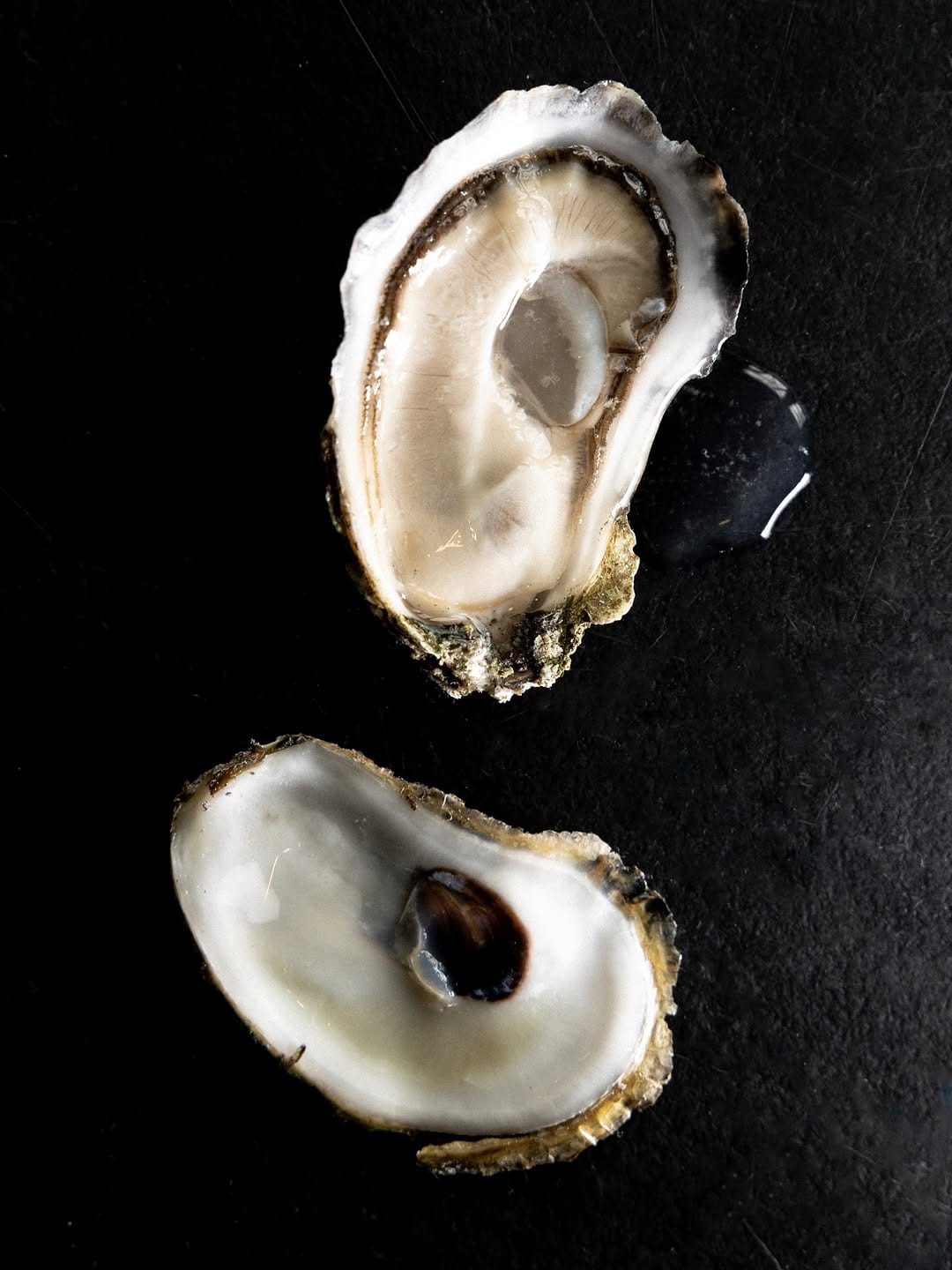 Post 8 by The Carriage House Restaurant on Instagram (image)