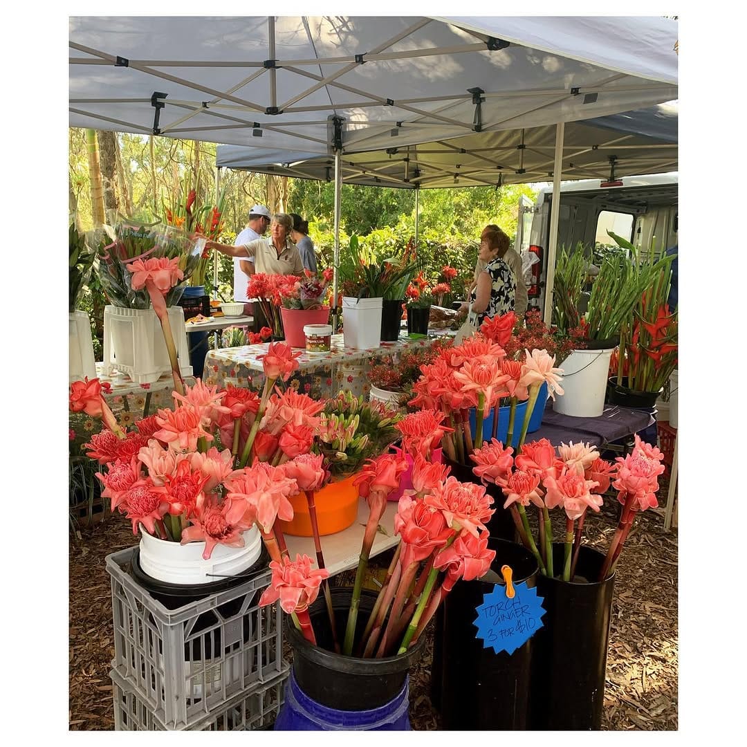 Post 9 by THE ORGANIC STORE on Instagram (image)