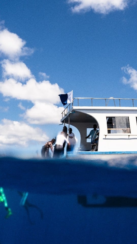 Post 6 by Adam Sellars on Instagram (video)
