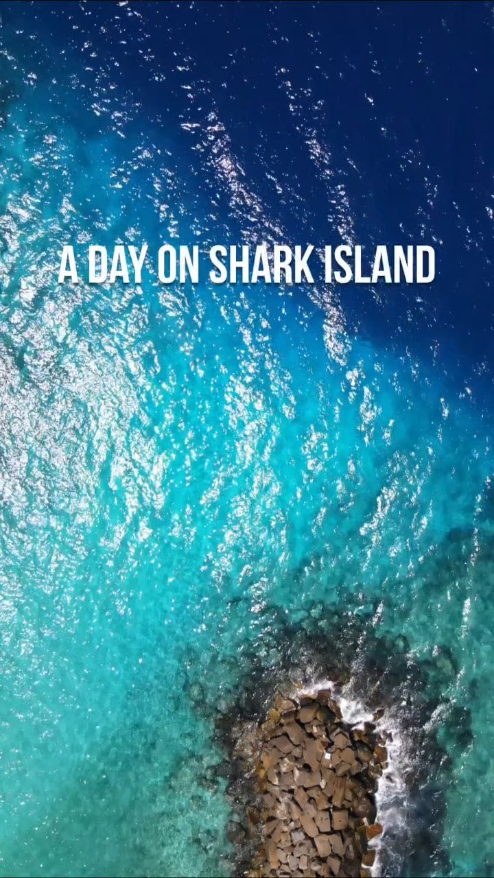 Post 2 by Adam Sellars on Instagram (video)