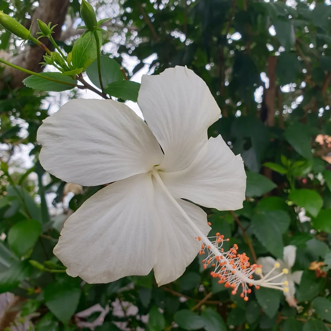 Post 9 by See the World thru Our Eyes on Instagram (image)