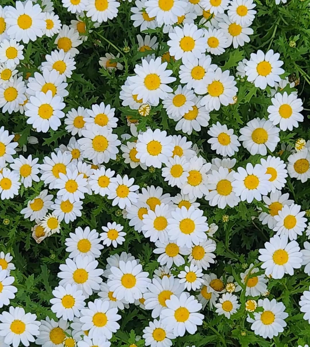 Post 5 by See the World thru Our Eyes on Instagram (image)