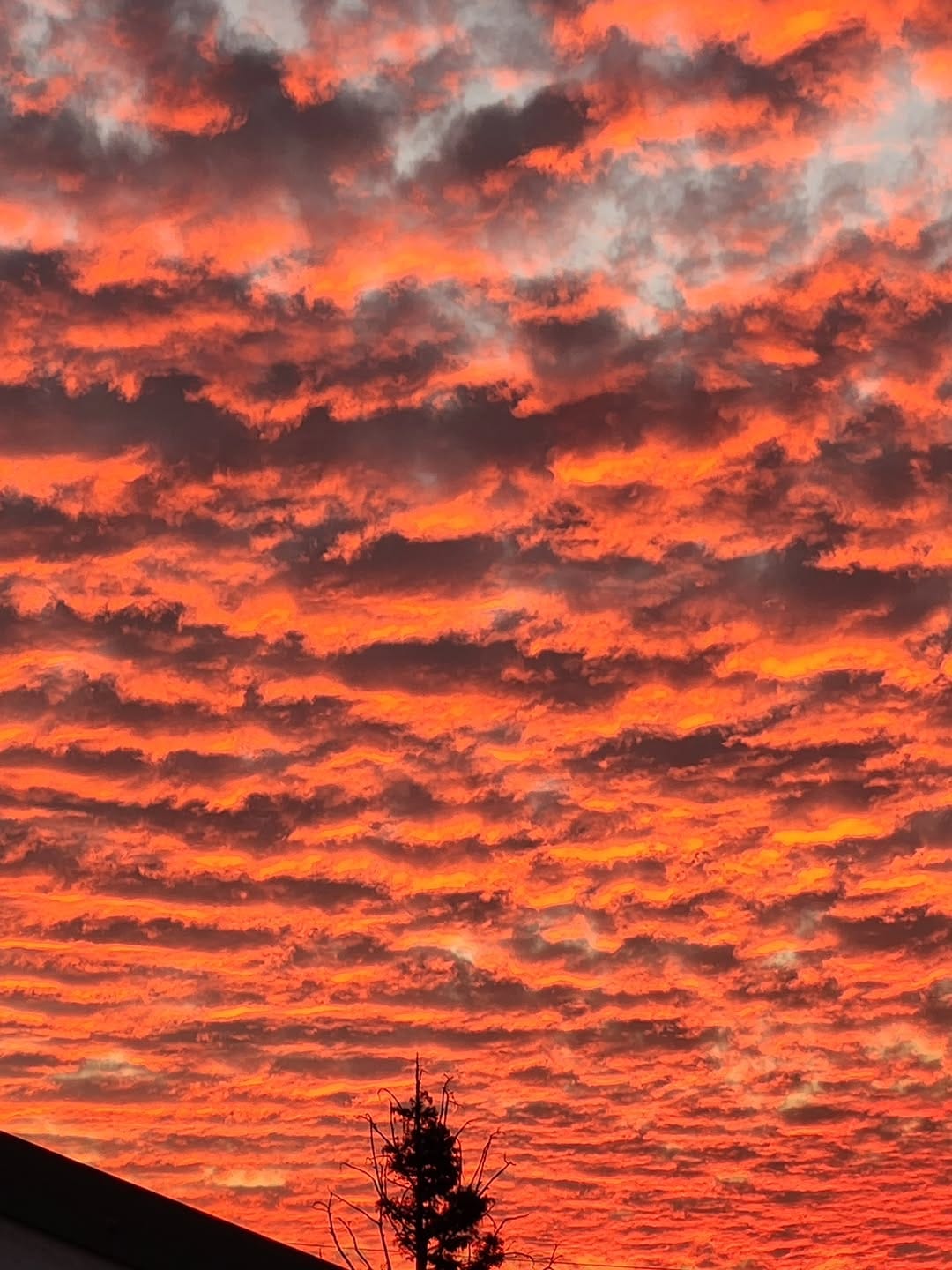 Post 4 by See the World thru Our Eyes on Instagram (image)