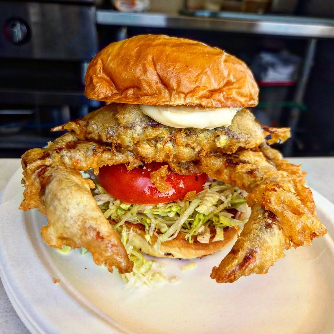 Post 6 by Co-Hog on Instagram (image)