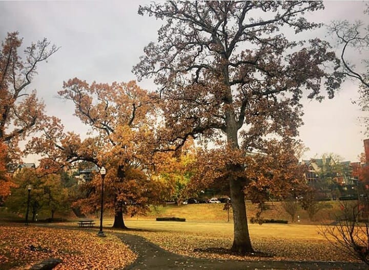 Post 8 by From US Birmingham on Instagram (image)