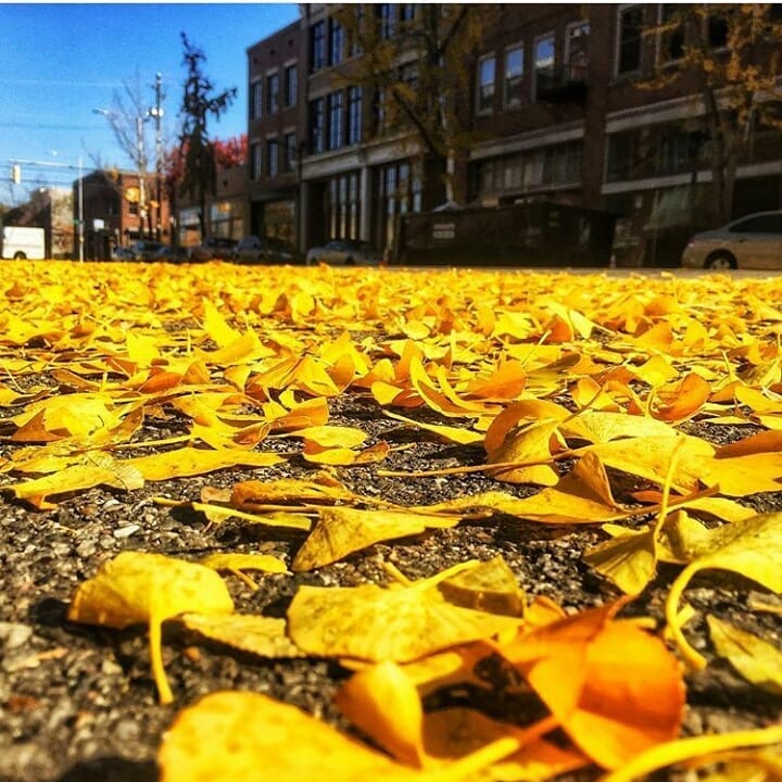 Post 5 by From US Birmingham on Instagram (image)