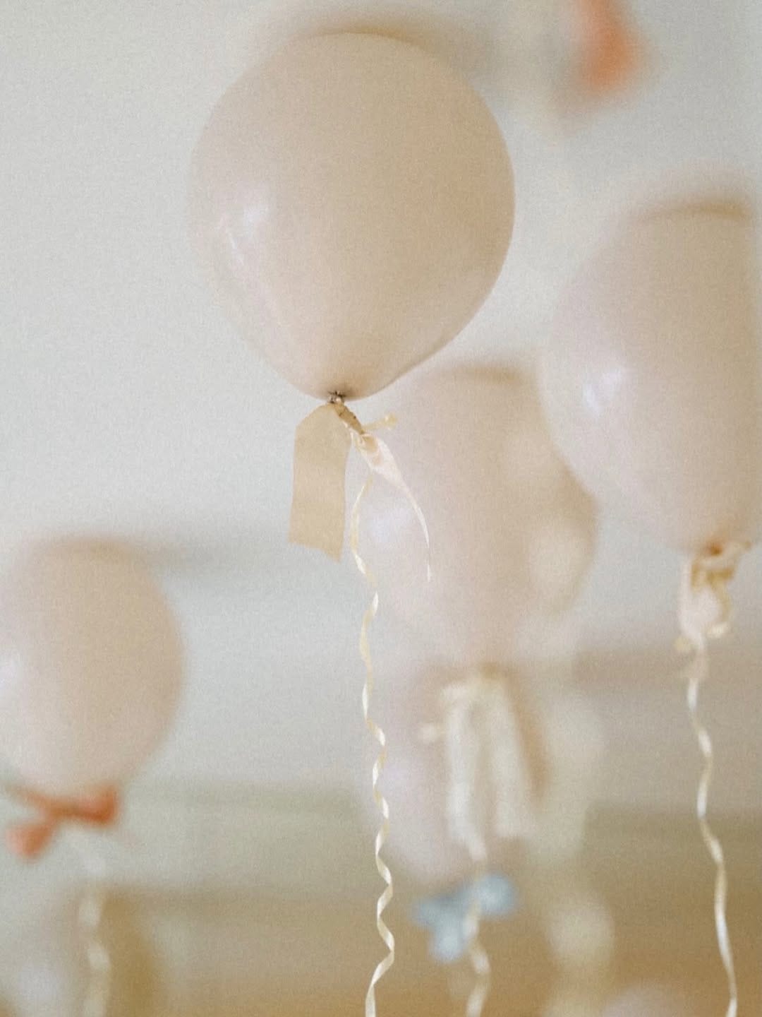 Post 5 by BRUNA LIPPO on Instagram (carousel)