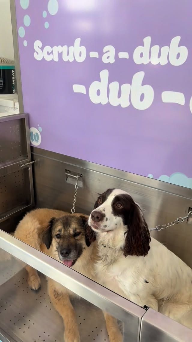 Post 7 by Greedy Nurse Cardiff 🧡 on Instagram (video)