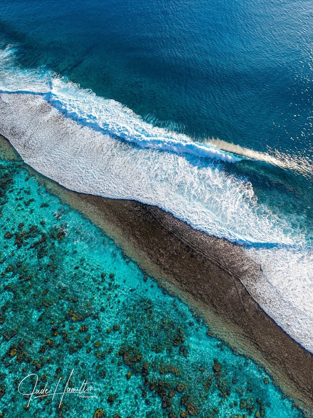 Post 7 by Jade Hamilton Photography on Instagram (image)