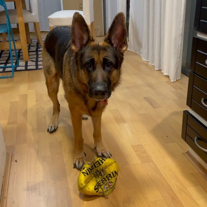 Post 7 by Kiva on Instagram (video)