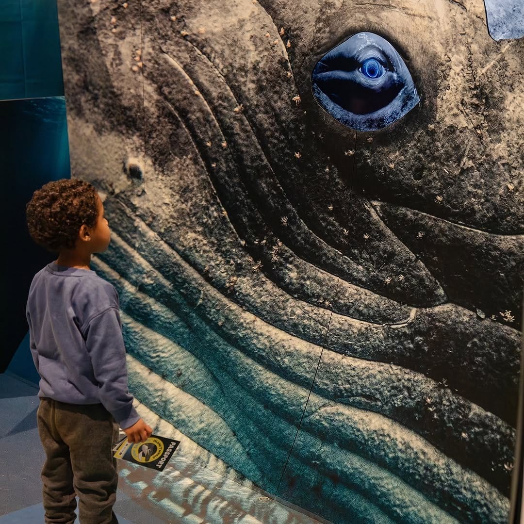 Post 4 by Wildlife Coast Cruises on Instagram (carousel)