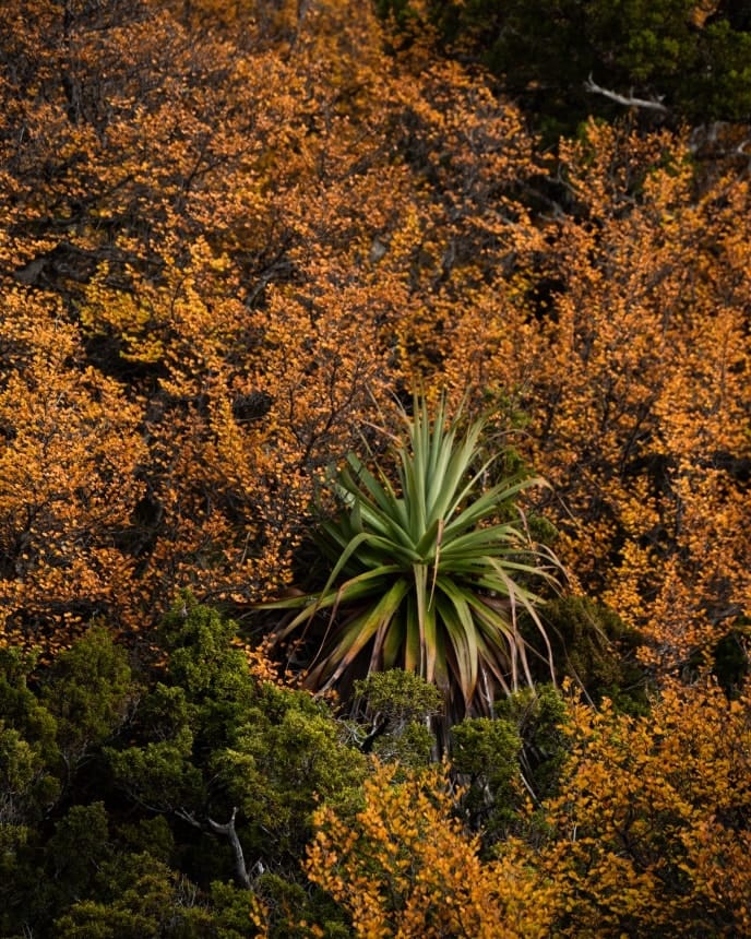 Post 6 by Francois Fourie on Instagram (image)