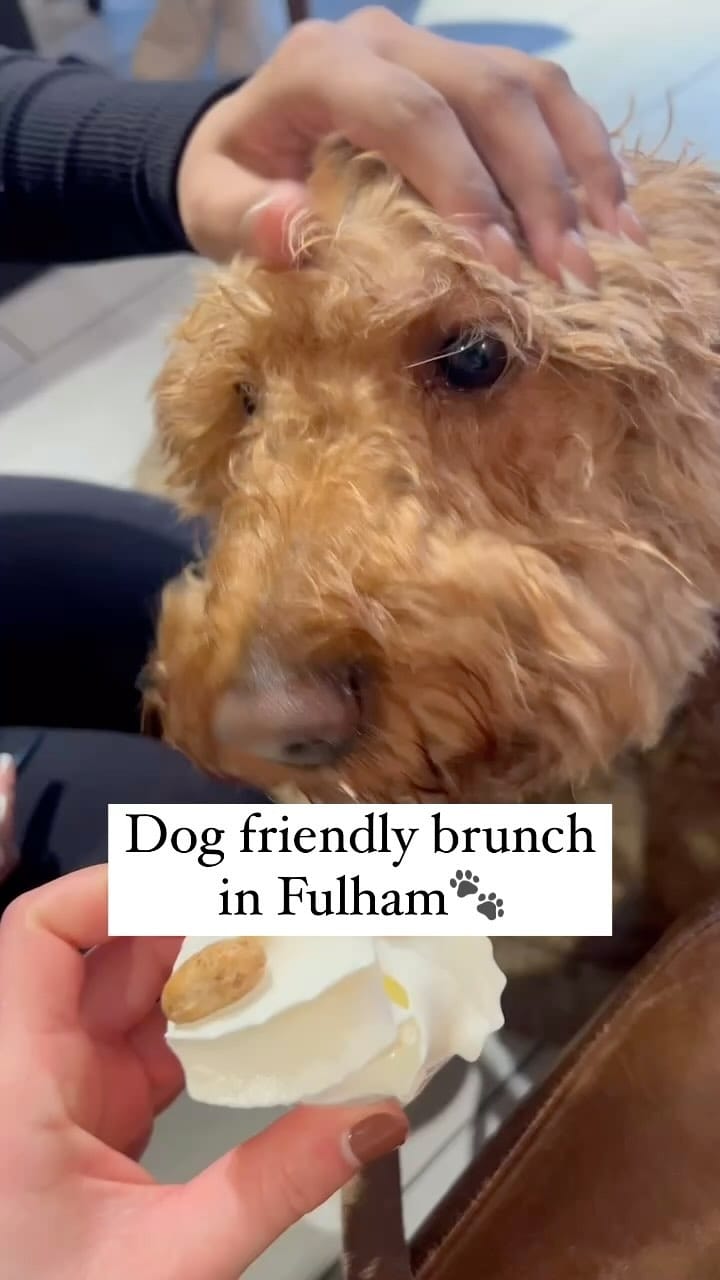 Post 3 by Travelling Appetite | Foodie on Instagram (video)