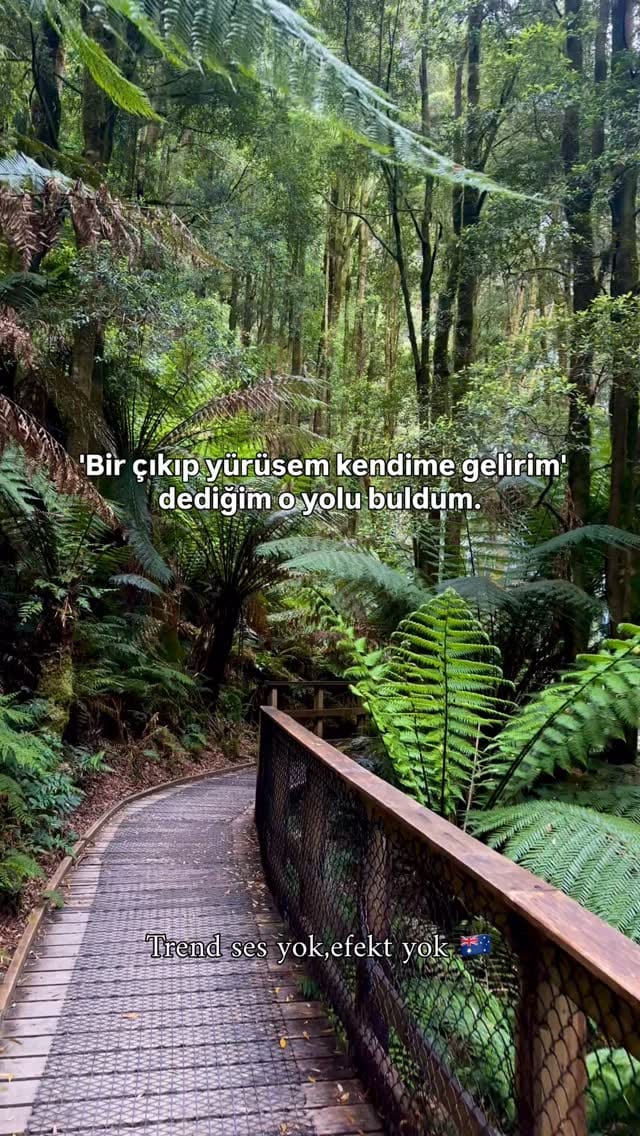 Post 5 by Büşra | Australia based Travel & Lifestyle on Instagram (video)