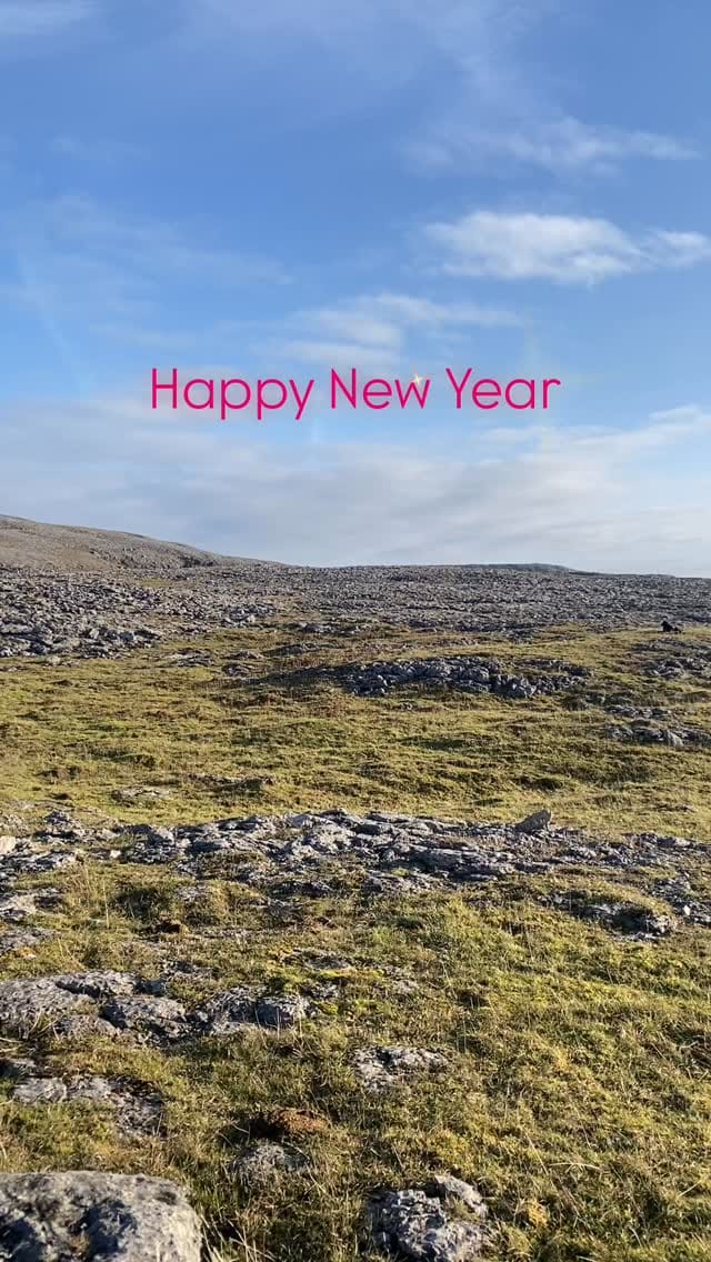 Post 8 by Julia's Lobster Truck on Instagram (video)