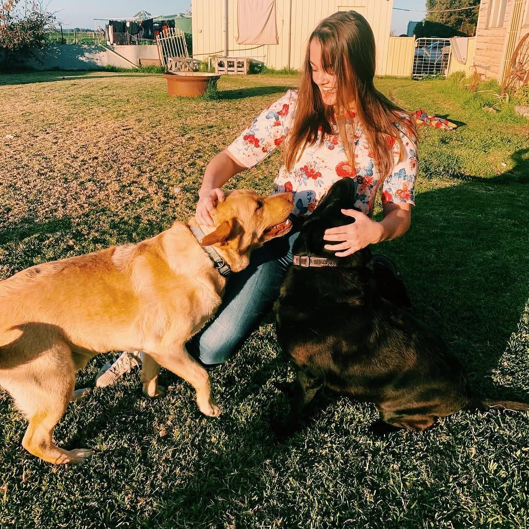Post 6 by Flume The Labrador 🐾 on Instagram (carousel)