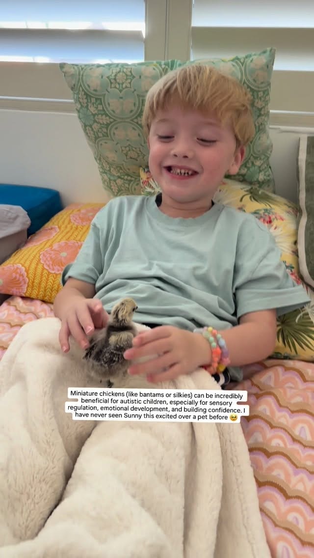 Post 8 by Betsy Shaw on Instagram (video)
