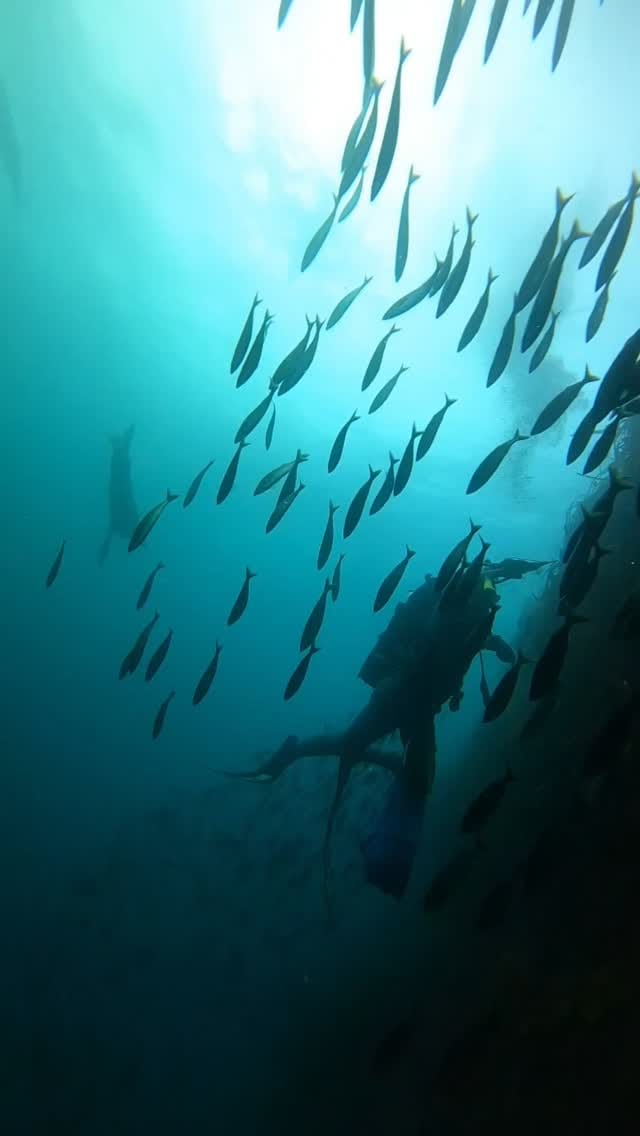 Post 1 by D A N N Y  L E E on Instagram (video)