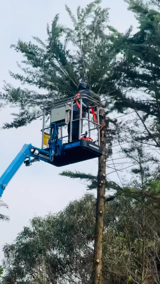 Post 2 by Cosjack Timber on Instagram (video)