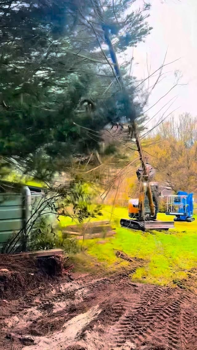 Post 4 by Cosjack Timber on Instagram (video)