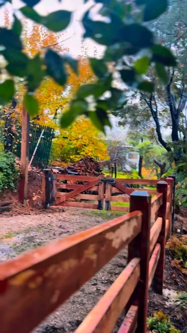 Post 10 by Cosjack Timber on Instagram (video)