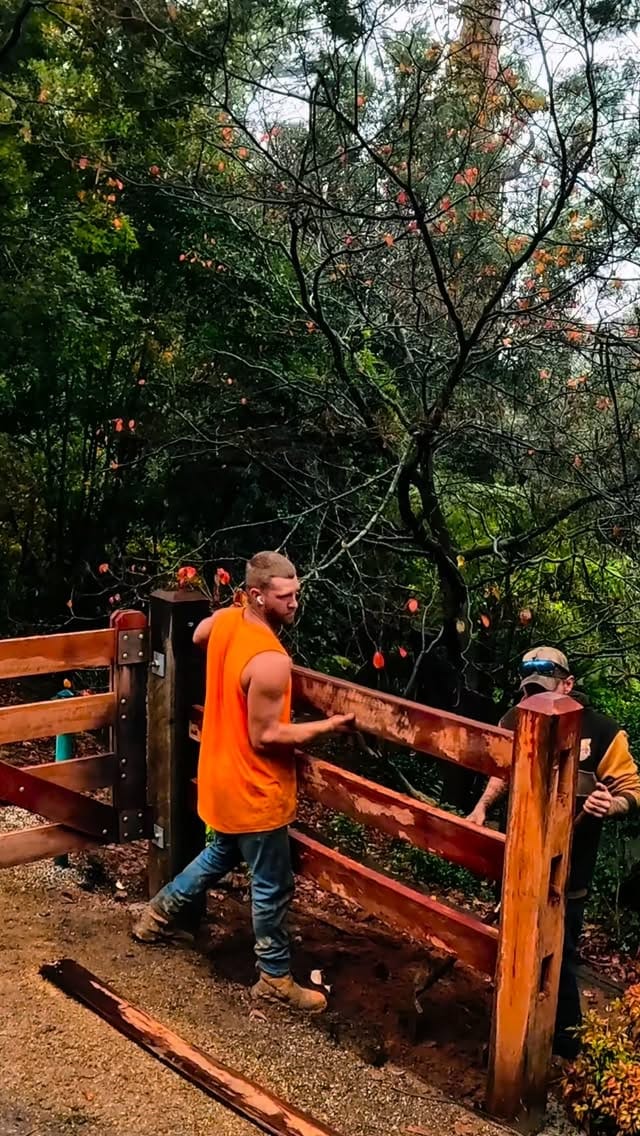 Post 9 by Cosjack Timber on Instagram (video)