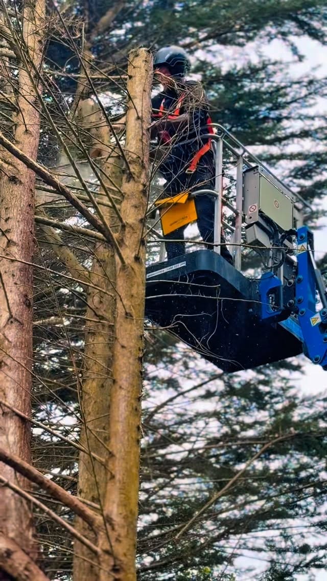 Post 3 by Cosjack Timber on Instagram (video)