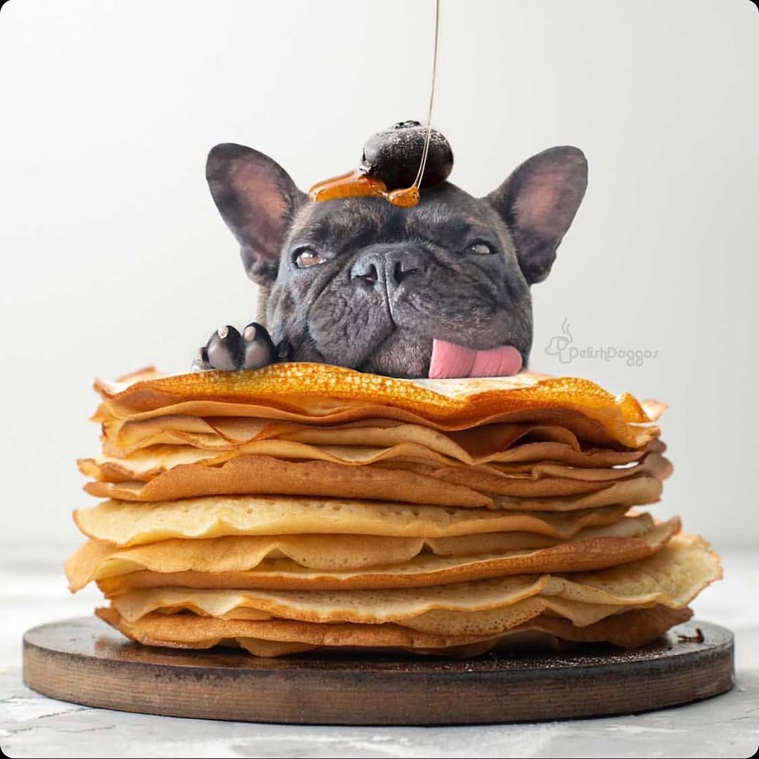 Post 8 by Pumbaa & Lil Snoop Frenchies🐶 on Instagram (image)