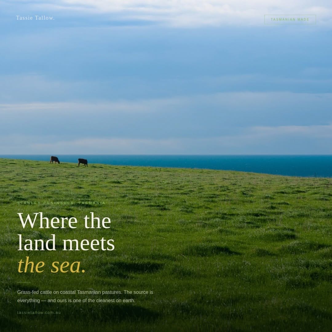 Post 3 by Tassie Tallow on Instagram (image)