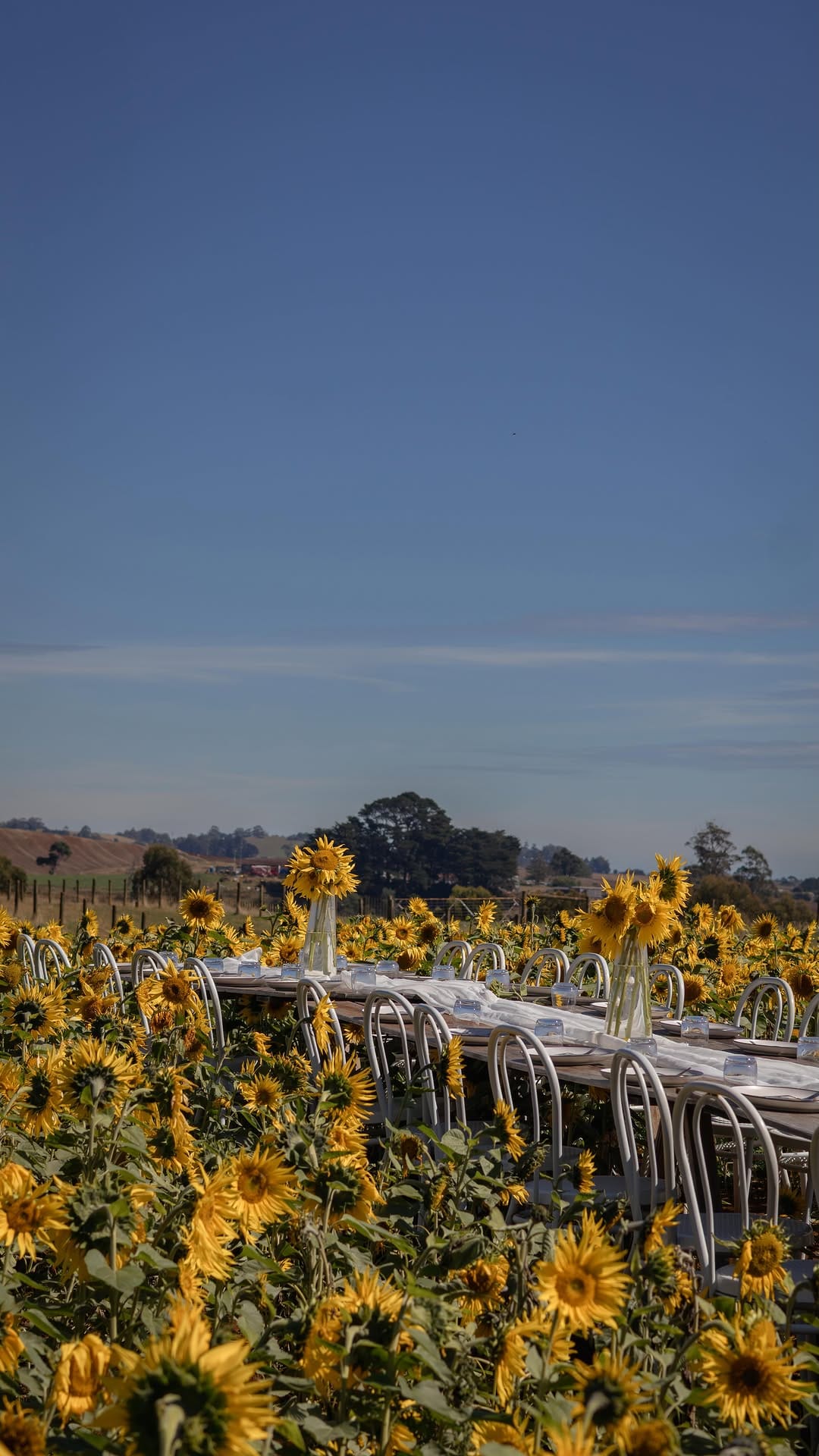 Post 7 by Accommodation | Wedding & Events Venue | Farm Stay Tasmania on Instagram (video)