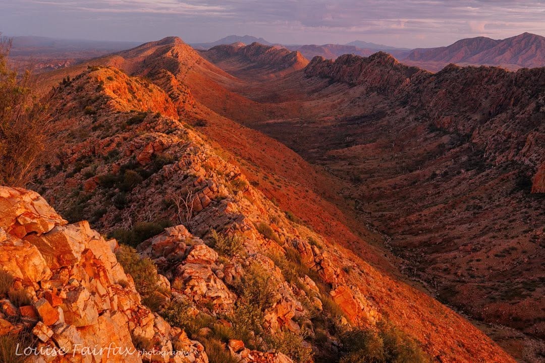 Post 2 by Louise Fairfax, Tasmania on Instagram (image)