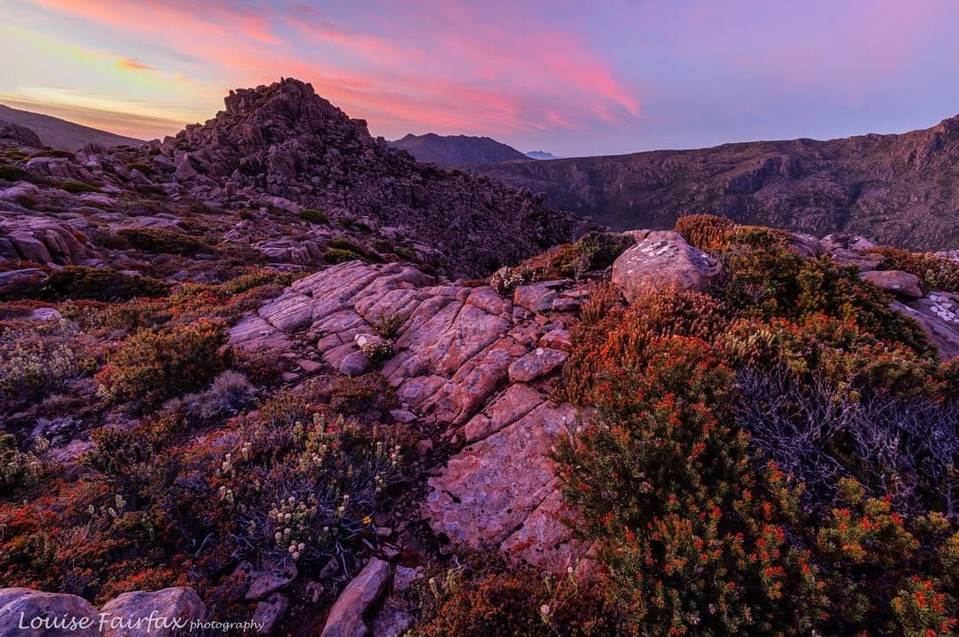 Post 8 by Louise Fairfax, Tasmania on Instagram (image)