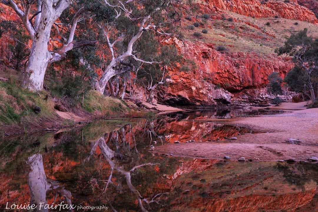 Post 1 by Louise Fairfax, Tasmania on Instagram (image)