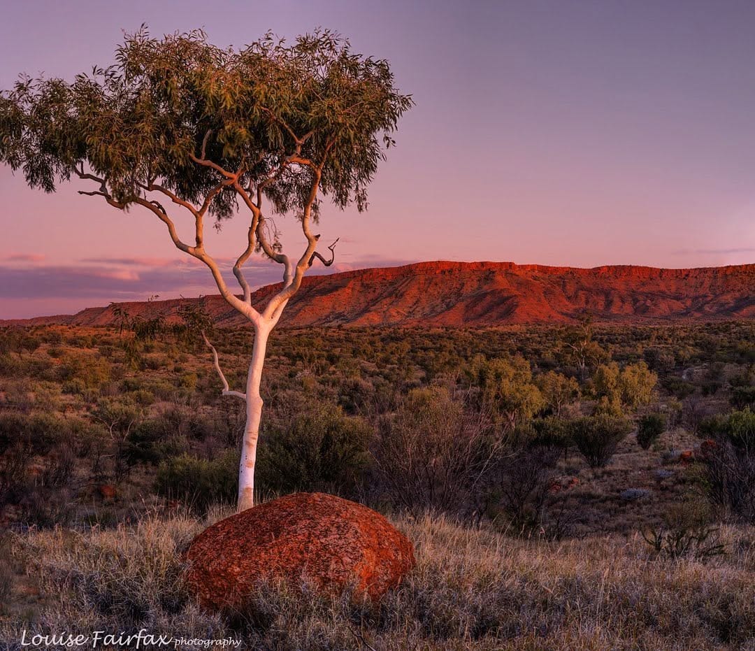 Post 3 by Louise Fairfax, Tasmania on Instagram (image)