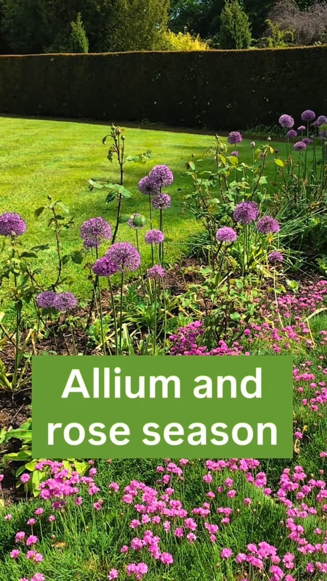 Post 4 by Gunby Estate, Hall and Gardens on Instagram (video)