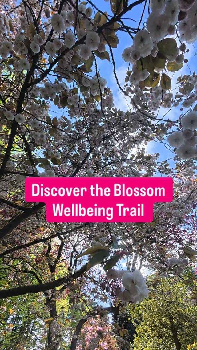 Post 10 by Gunby Estate, Hall and Gardens on Instagram (video)