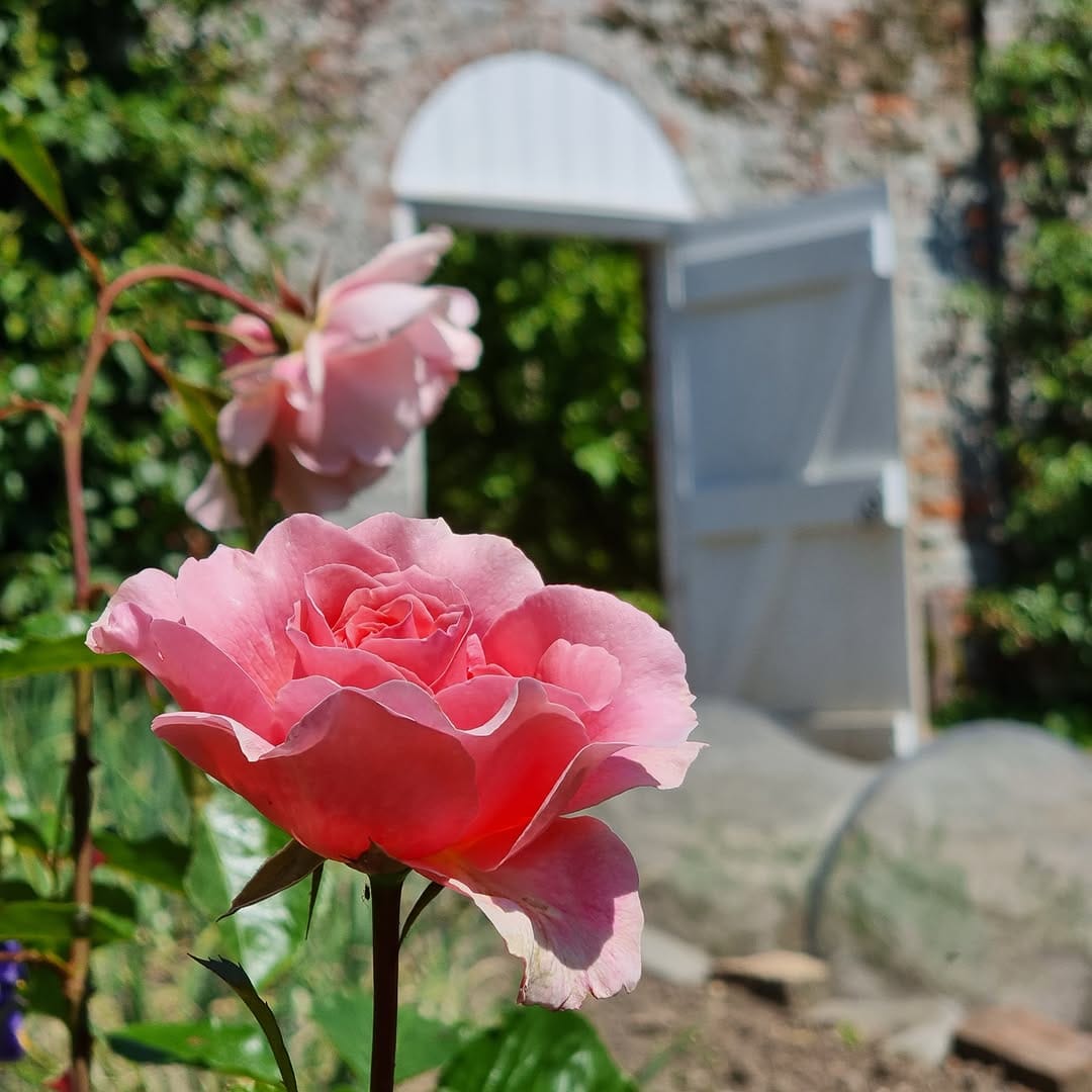 Post 8 by Gunby Estate, Hall and Gardens on Instagram (carousel)