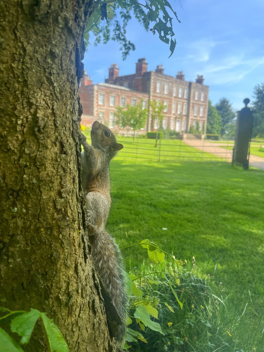 Post 6 by Gunby Estate, Hall and Gardens on Instagram (carousel)