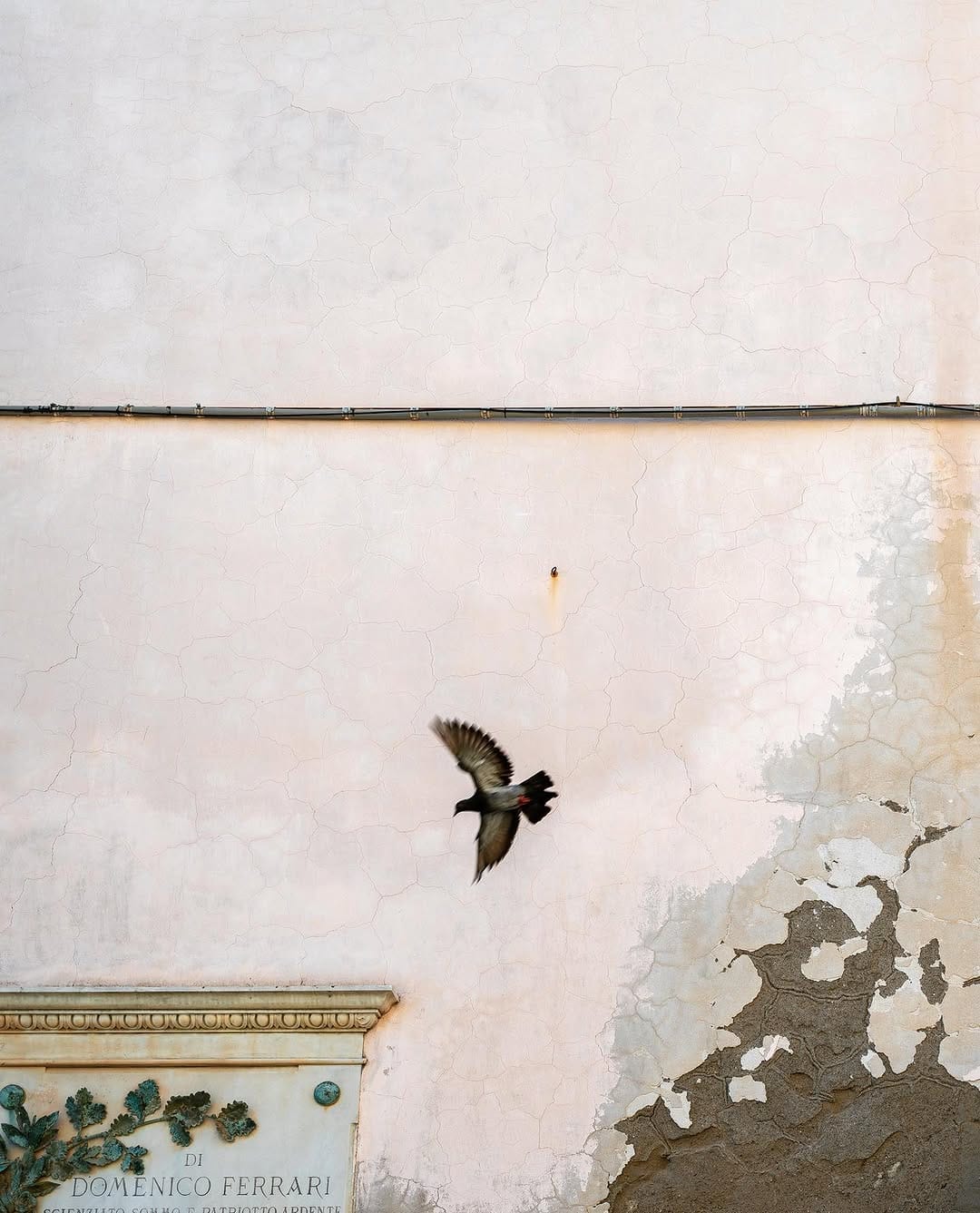 Post 7 by • CATHERINE MATTHYS • on Instagram (image)