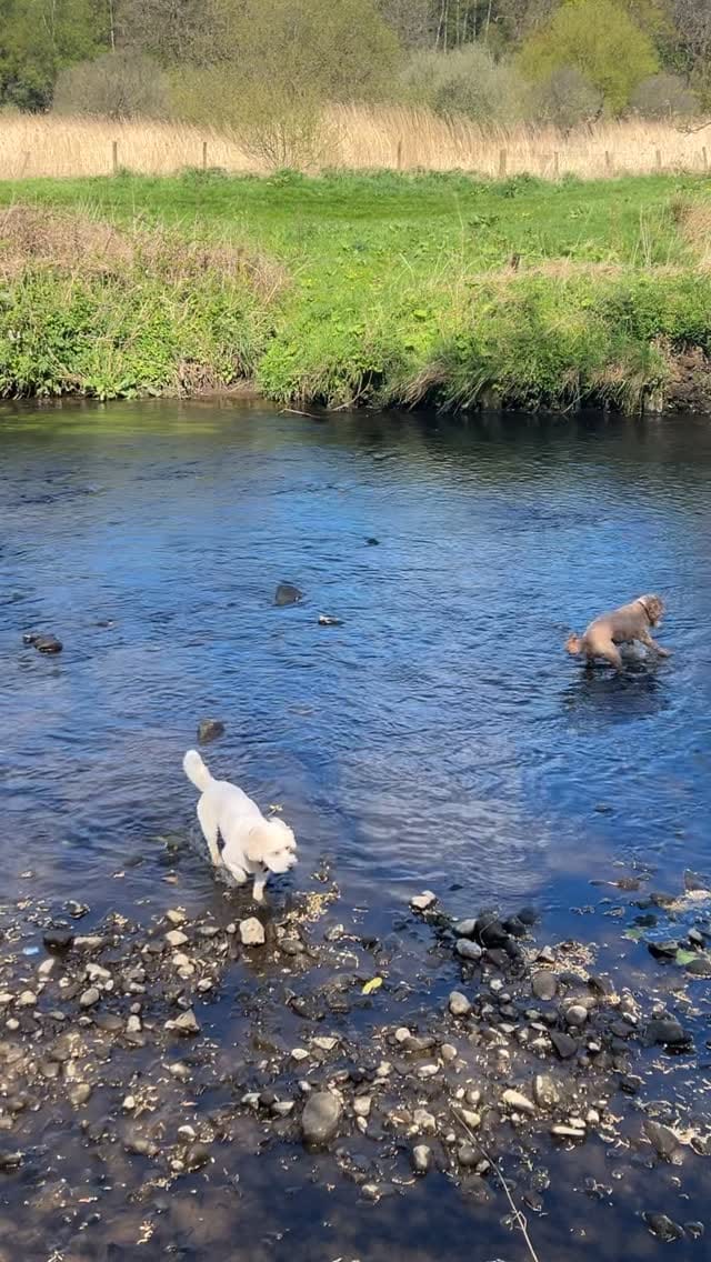 Post 1 by Catherine 🌿 on Instagram (video)