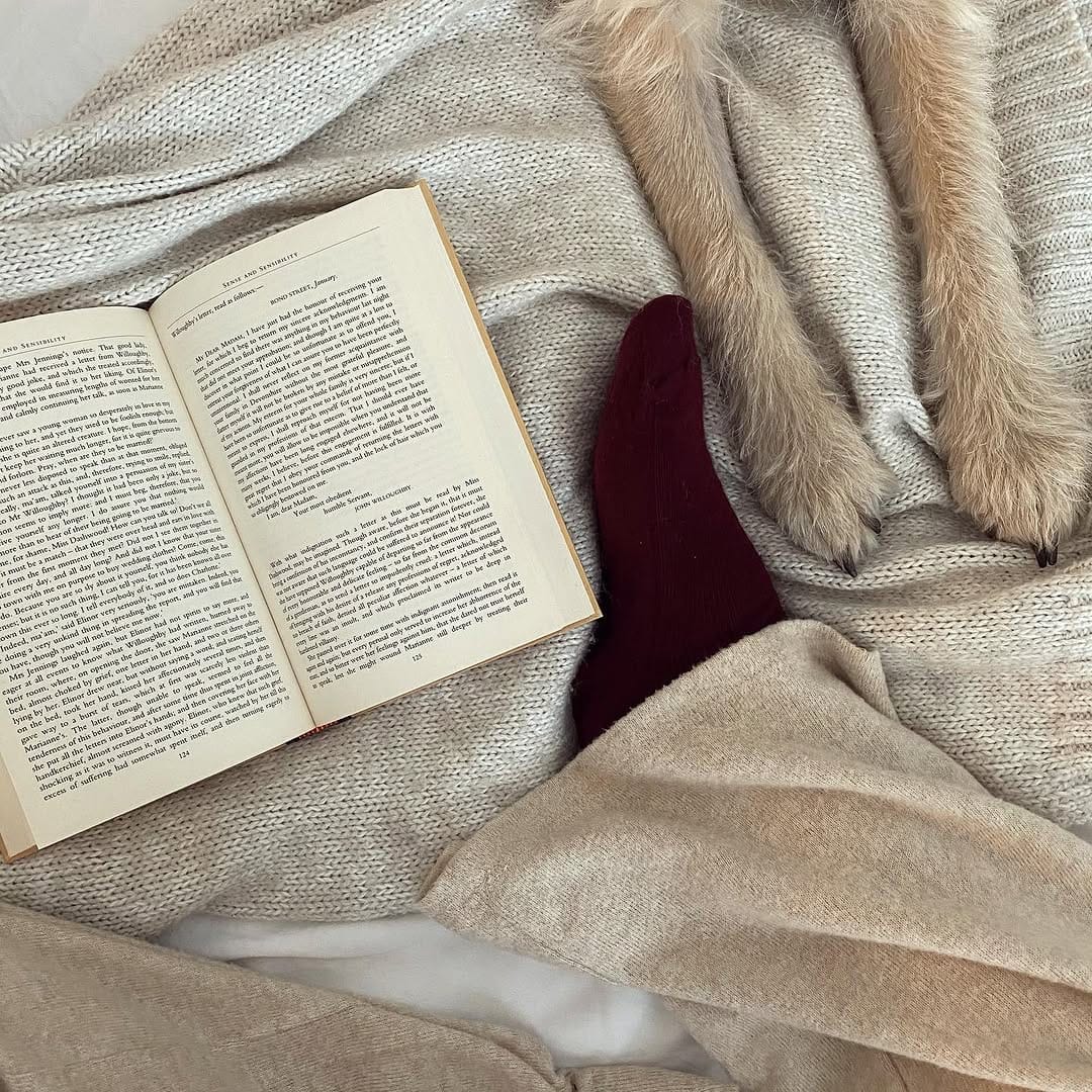 Post 10 by Inside No.25 on Instagram (image)