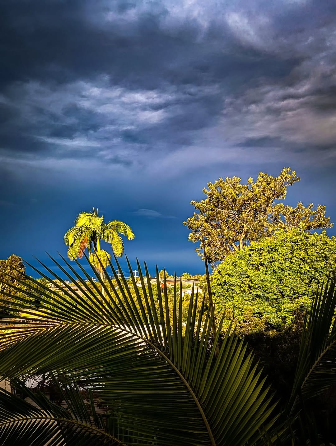 Post 7 by Mark Coleman on Instagram (image)