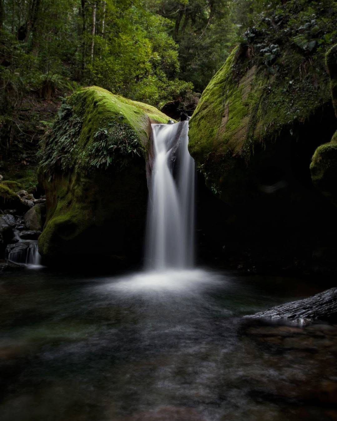 Post 10 by Peter Dowling | Tasmania | AUS on Instagram (image)
