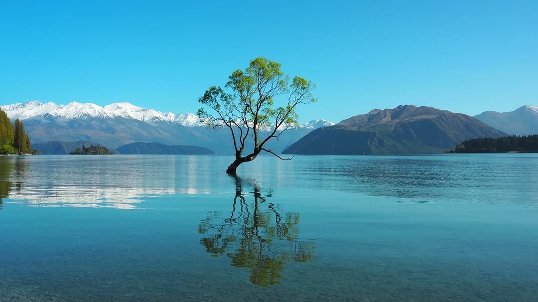 Post 7 by Peter Dowling | Tasmania | AUS on Instagram (image)