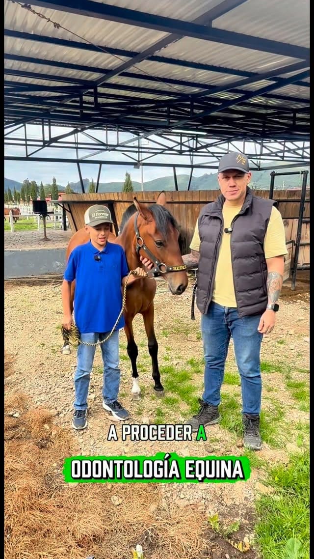 Post 5 by Dr Andres Forero MVZ | Odontología Equina - Bienestar animal on Instagram (video)